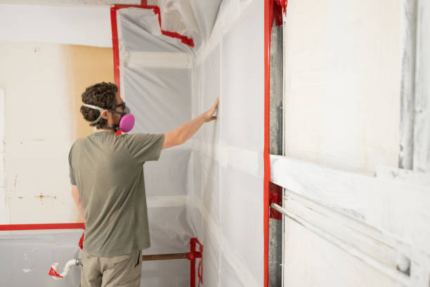 Best Mold-Related Health Consultation  in South Wallins, KY