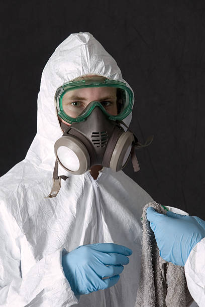 Best Mold Removal for HVAC Installations  in South Wallins, KY